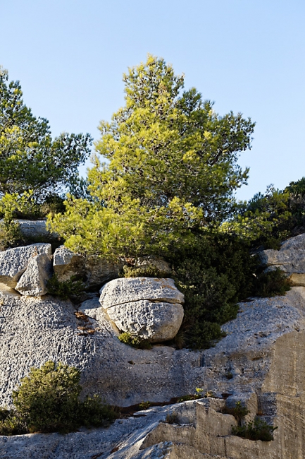 Les Baux de Provence-034